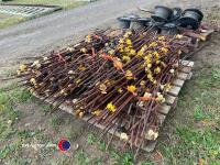 Ridley wrapper fencing - 4
