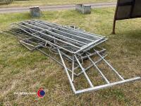Calf pens - 3
