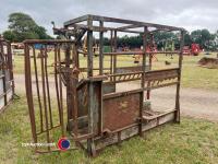 Cattle crush - 3
