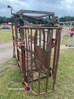 Cattle crush - 4