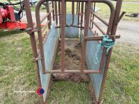 Cattle crush - 4