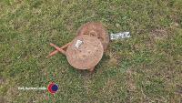 Pair marker discs