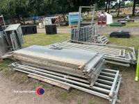 Bateman fixed sheep handling system, will hold 250 adult sheep