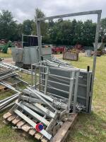 Bateman fixed sheep handling system, will hold 250 adult sheep - 8