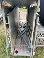 Ritchie Combi Clamp sheep system, c/w weigh platform, Tru test weigh bars, Tru test XPR 2 EID reader, Tru test XR5000 weigh head - 6