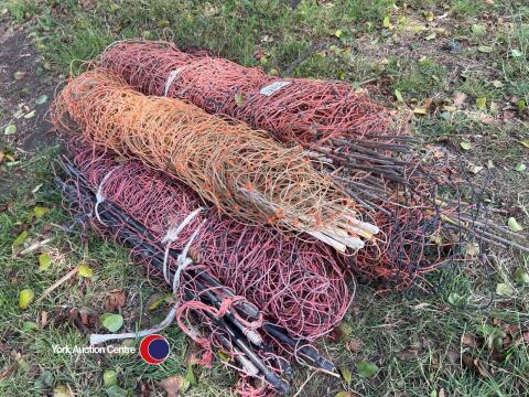 5 electric sheep nets
