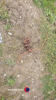 Farm spares - tines - 2