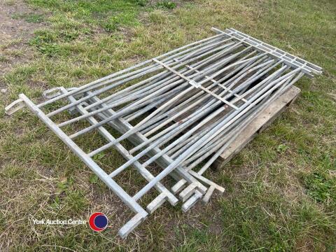 6 x Sheep bars