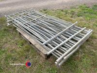 6 x Sheep bars - 4