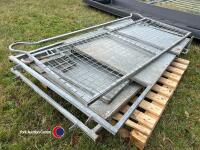 Curved sheep sorting pens - 2
