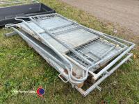 Curved sheep sorting pens - 3