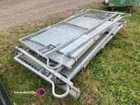 Curved sheep sorting pens - 4