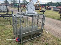 Galvanised sheep weigh - 3
