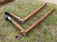 Pallet tines - 3
