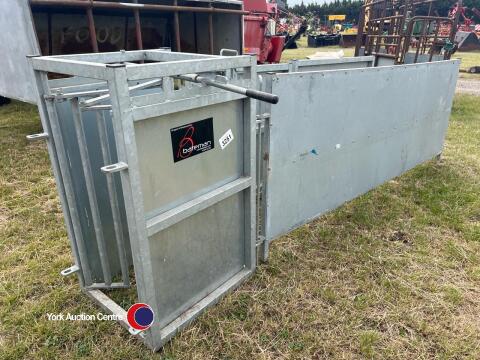 Galvanised sheep head gate and inspection panels