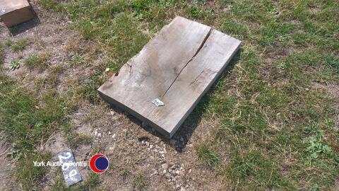 3in oak slab, 22in x 3ft