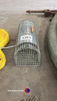 Rat trap - 2