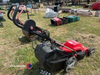 Grizzly electric lawnmower, gwo - 4