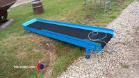 Blue painted steel incline conveyor, 3000L x 600W x 490H - 3