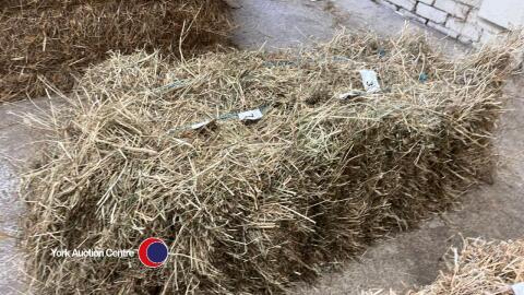 25x Conventional bales of hay, collection from YO30 1AY