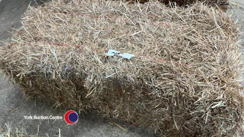 80x Conventional bales of 2024 hay, barn stored, collection YO61 1EY