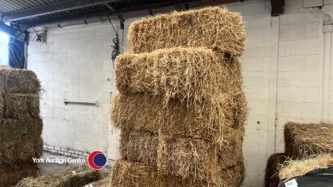 12x Conventional bales of barley straw, collection from York Auction Centre