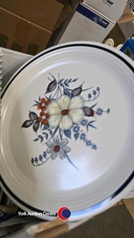 Dinner plates