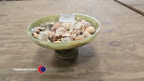 Onyx dish and sea shells