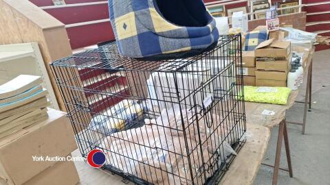 4 x pet beds, new