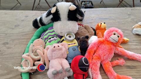 Quantity of soft toys