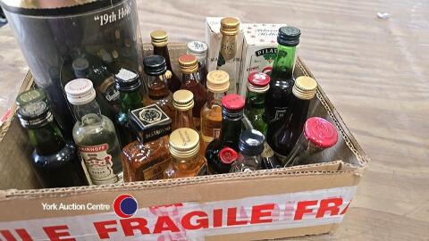 23 x miniatures including 10 malt whisky