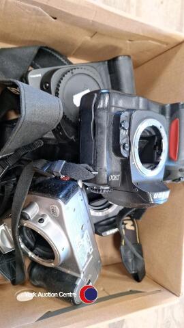4 cameras, Nikon D100, Canon 300D, Canon Digital Rebel and Canon 20D