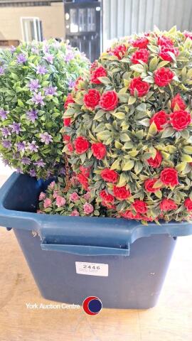 Plastic flowered hanging baskets