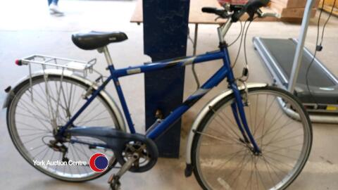 Raleigh Pioneer 120 men's bike