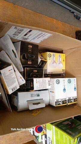 Box of assorted light bulbs