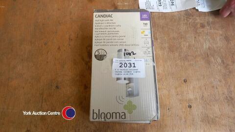 2 x Candiac brushed chrome outdoor lights, lights with PIR