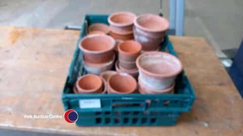 Tray of terracotta plant pots
