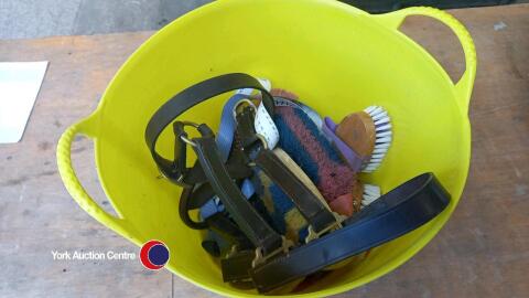 Quantity of horse bridles and brushes