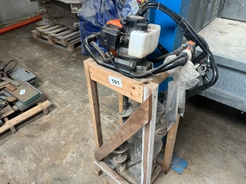 Arebas hole borer